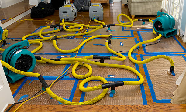 Professional Burst Pipe Water Damage technician working in Burghill, OH